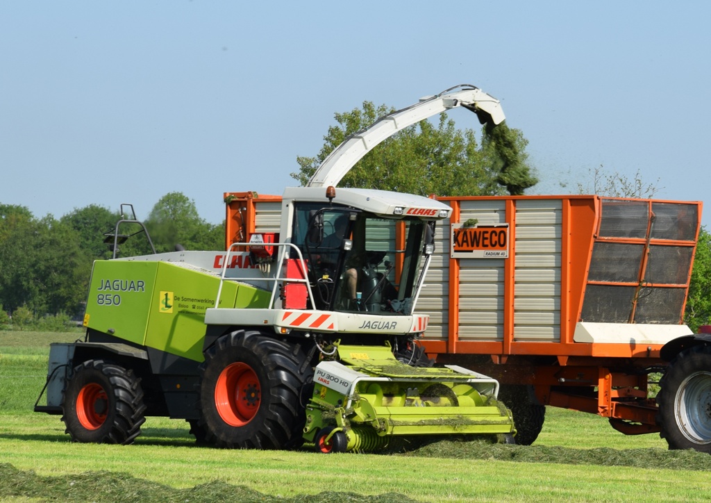 Gras-2-4